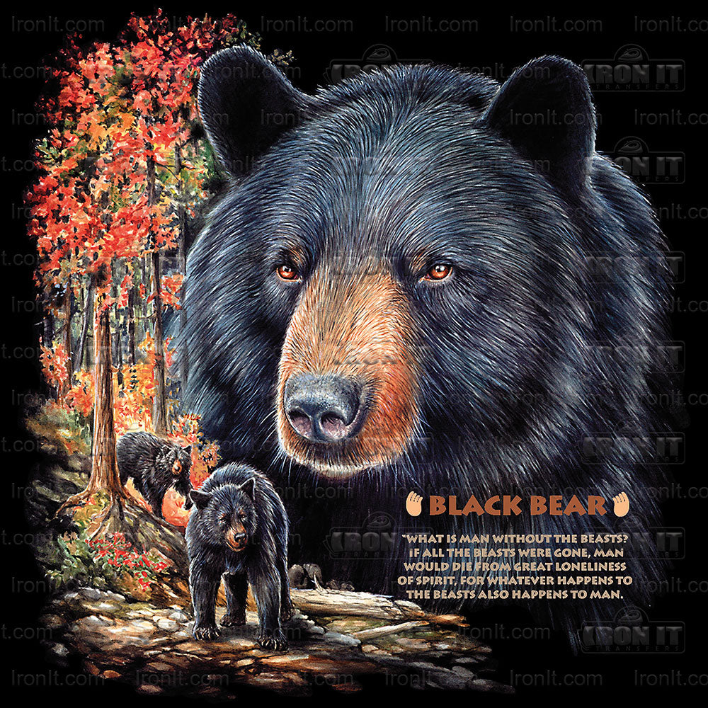 Black Bear 2 | Wildlife Direct-To-Film Transfer