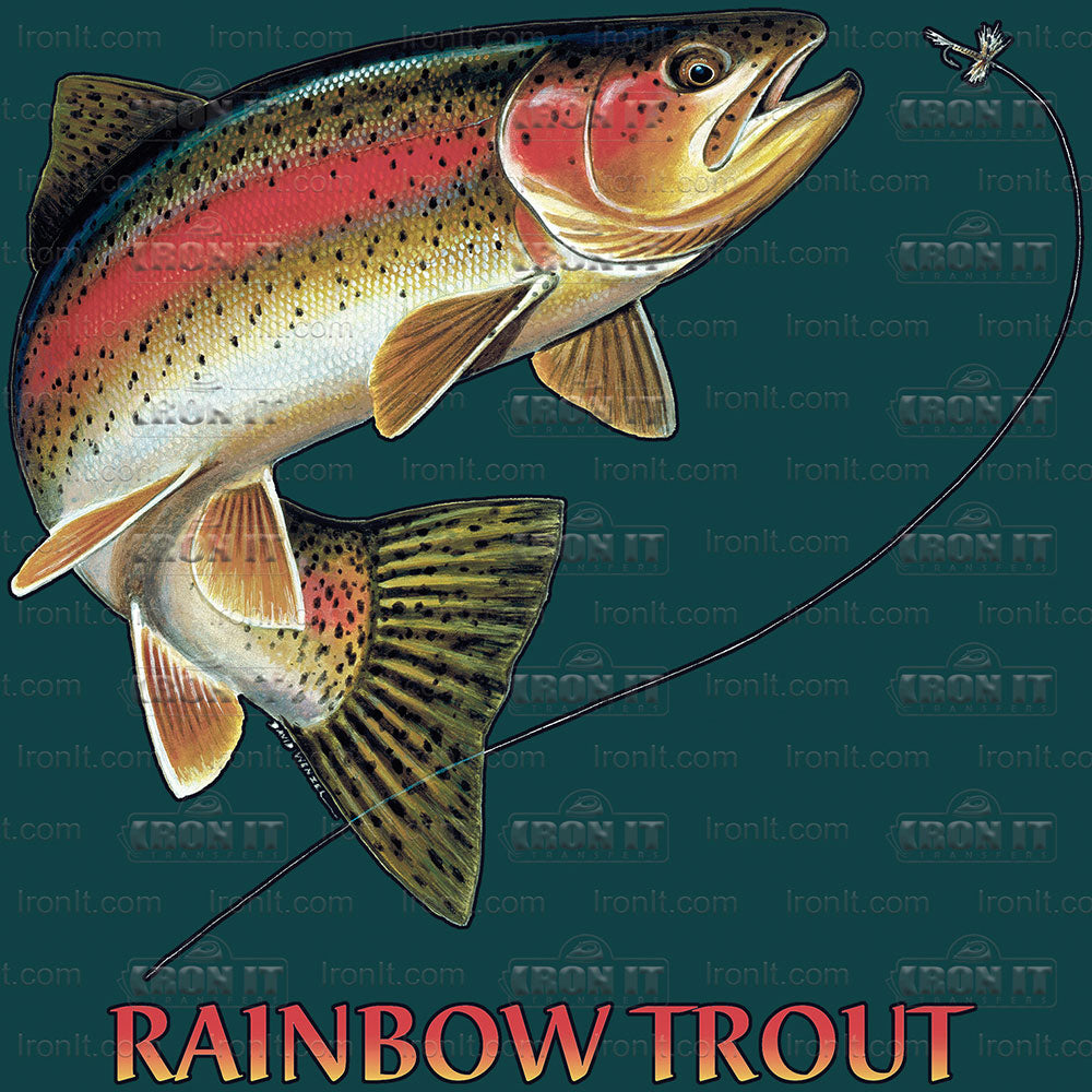 Rainbow Trout | Fishing Direct to Film Heat Transfers