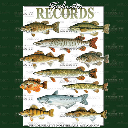 Freshwater Records | Fishing Direct to Film Heat Transfers