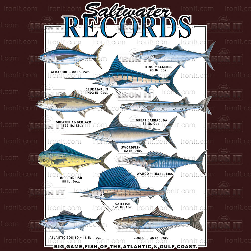 Saltwater Records | Fishing Direct to Film Heat Transfers