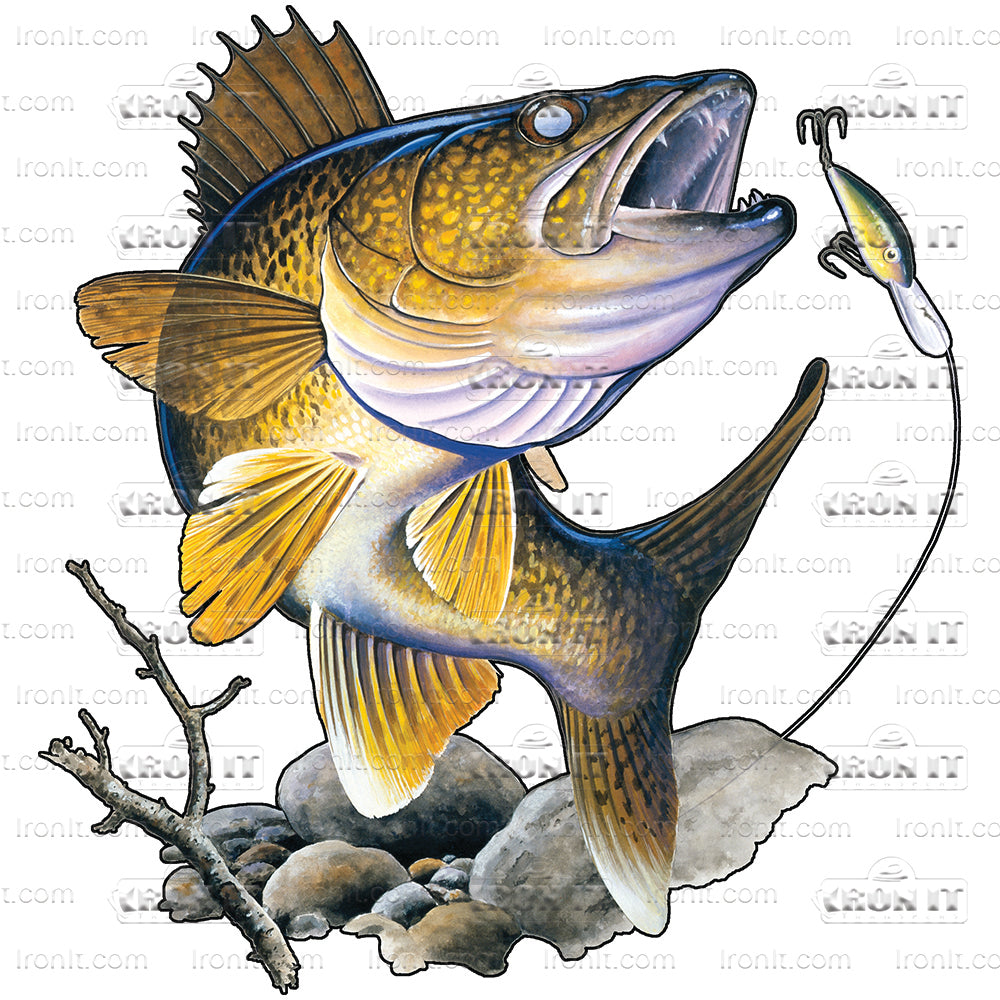 Walleye | Fishing Direct to Film Heat Transfers