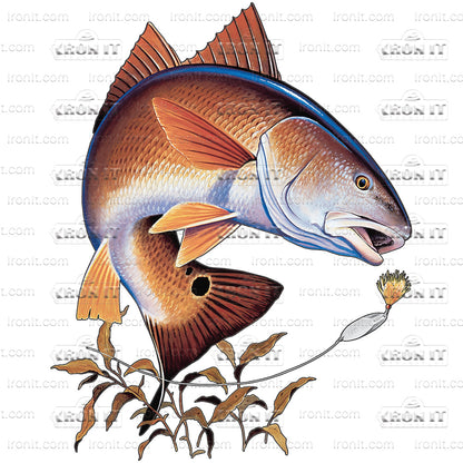 Redfish | Fishing Direct to Film Heat Transfers