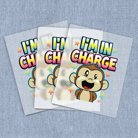 I'm In Charge | Kids DTF Heat Transfers