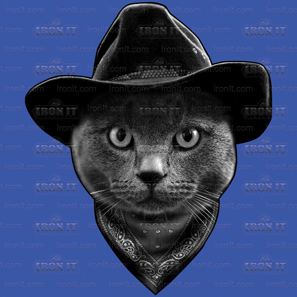 Cowboy Cat | Cats Direct-To-Film Transfer