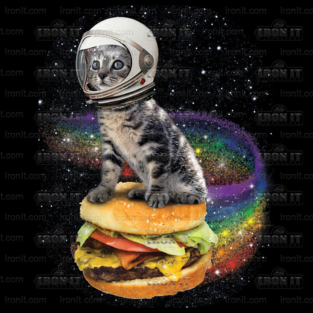 Rainbow Burger Cat | Cats Direct-To-Film Transfer