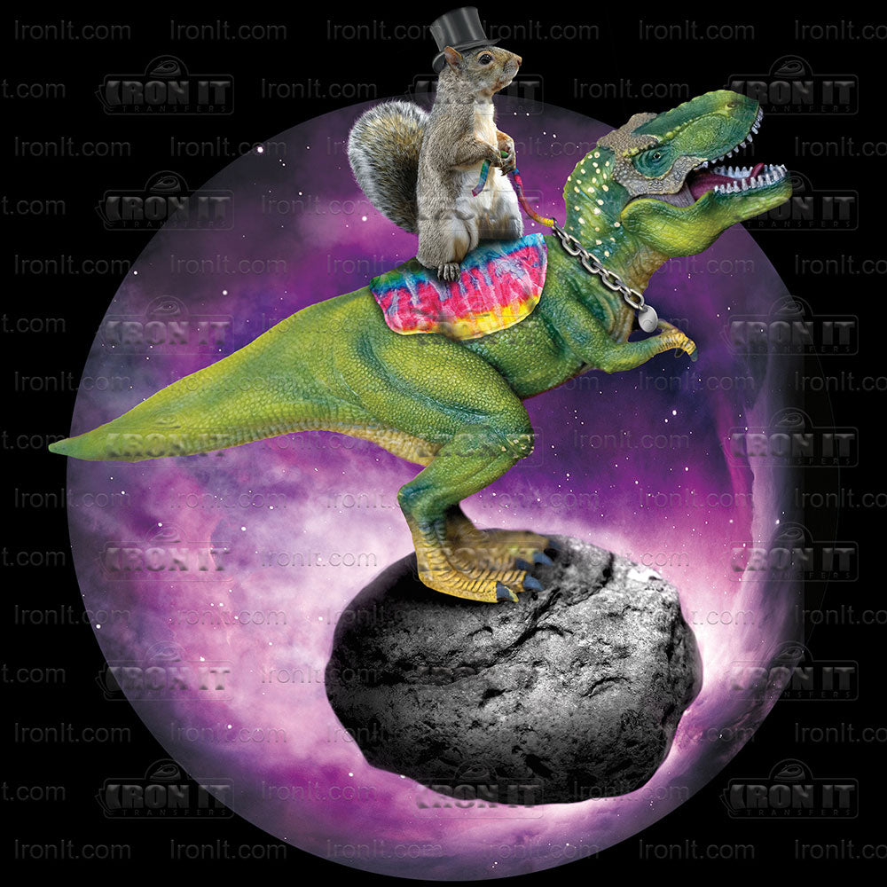 Squirrel Rider | Humor & Novelty Direct-To-Film Transfer