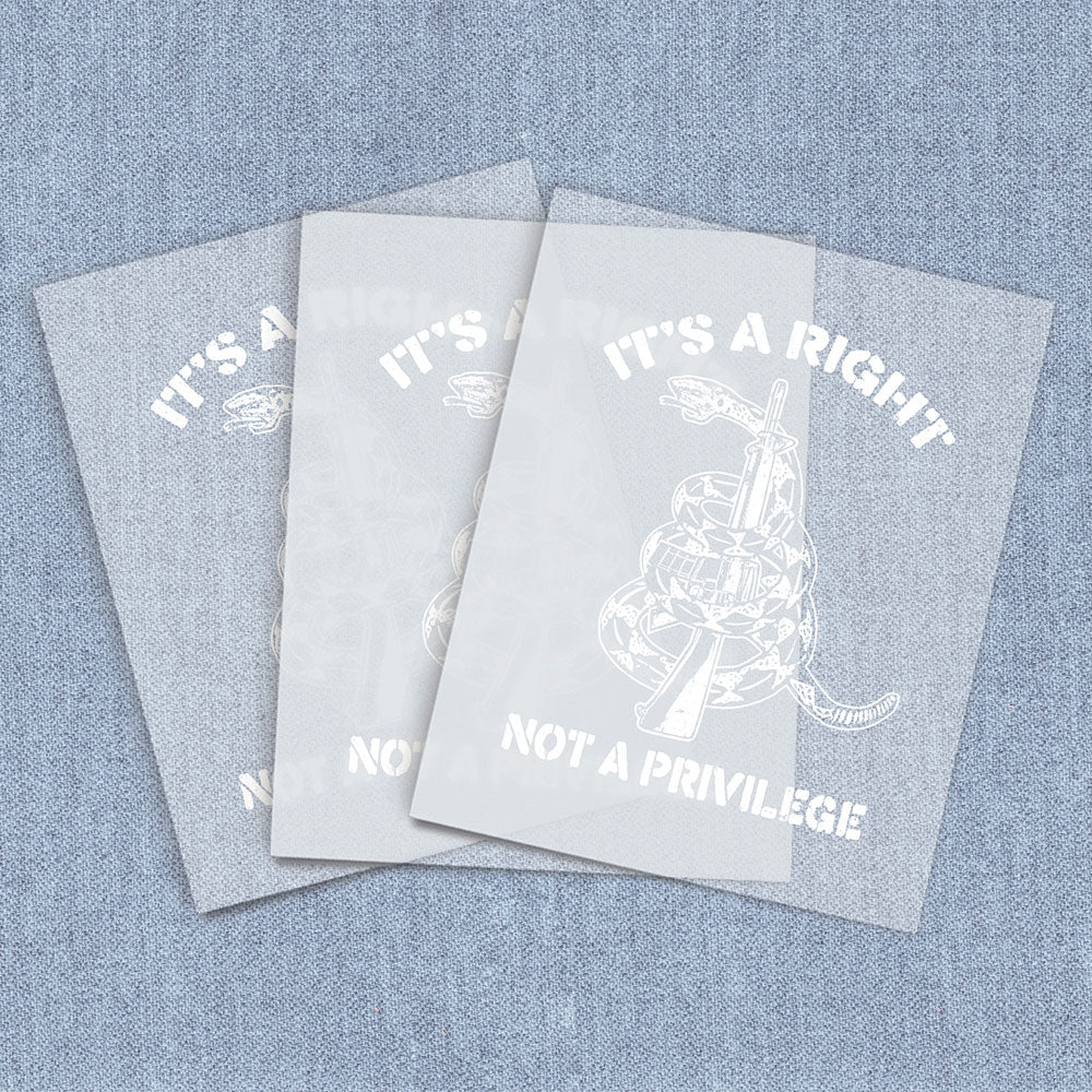 Not A Privilege | 2nd Amendment DTF Heat Transfers