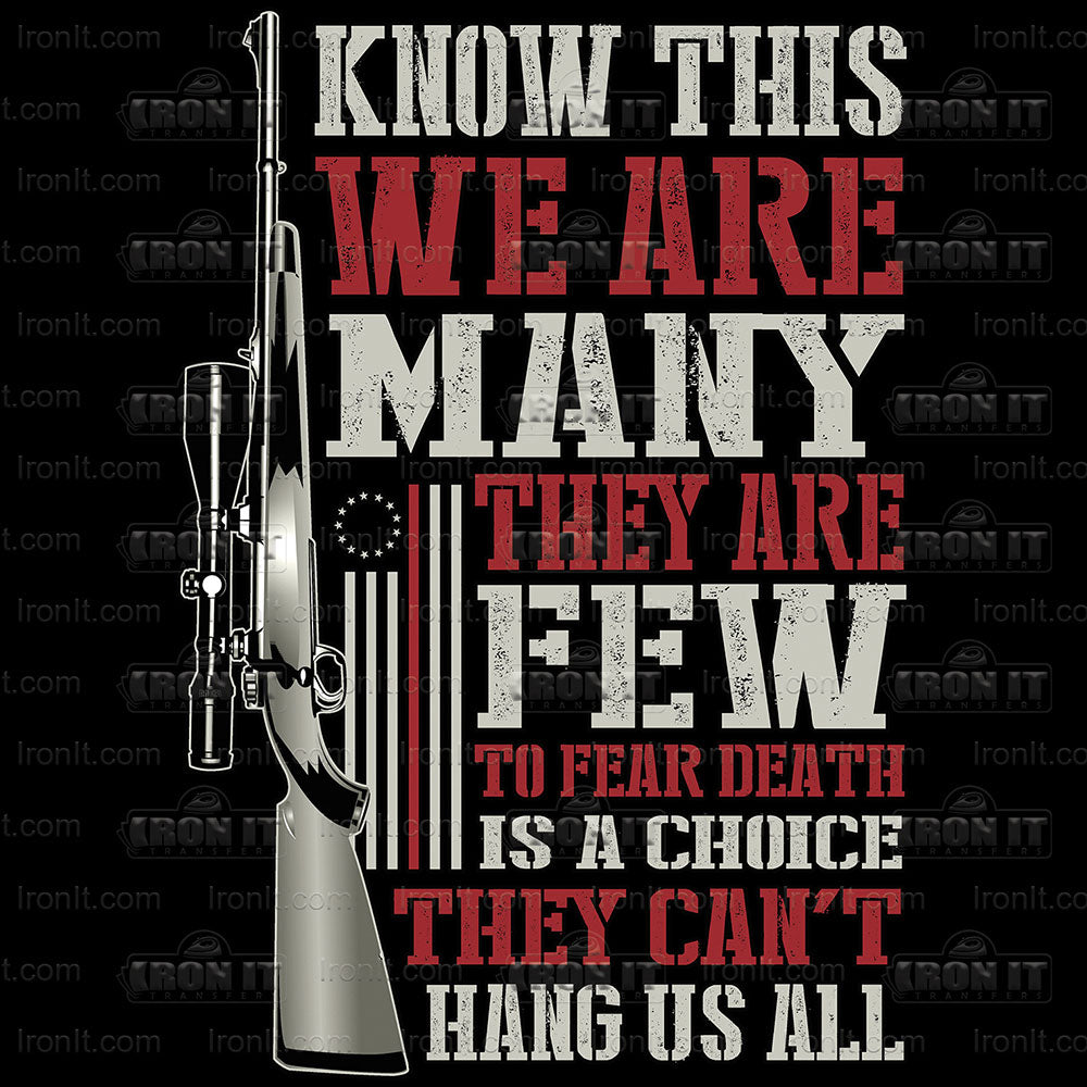 Know This | 2nd Amendment Direct-to-Film Heat Transfers