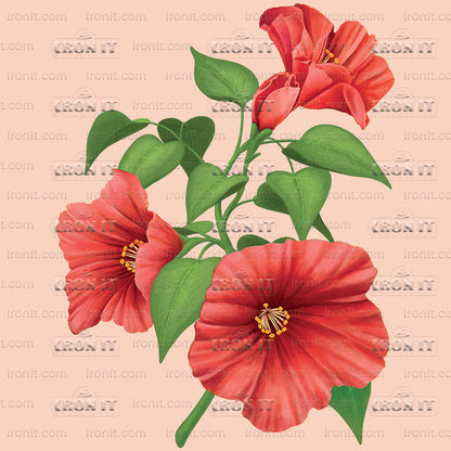 Red Hibiscus | Country & Floral Direct-To-Film Transfer