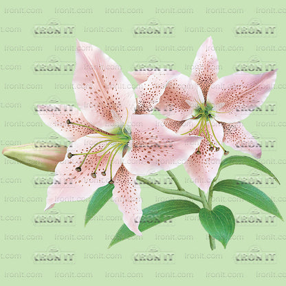 Tiger Lilies | Country & Floral Direct-To-Film Transfer