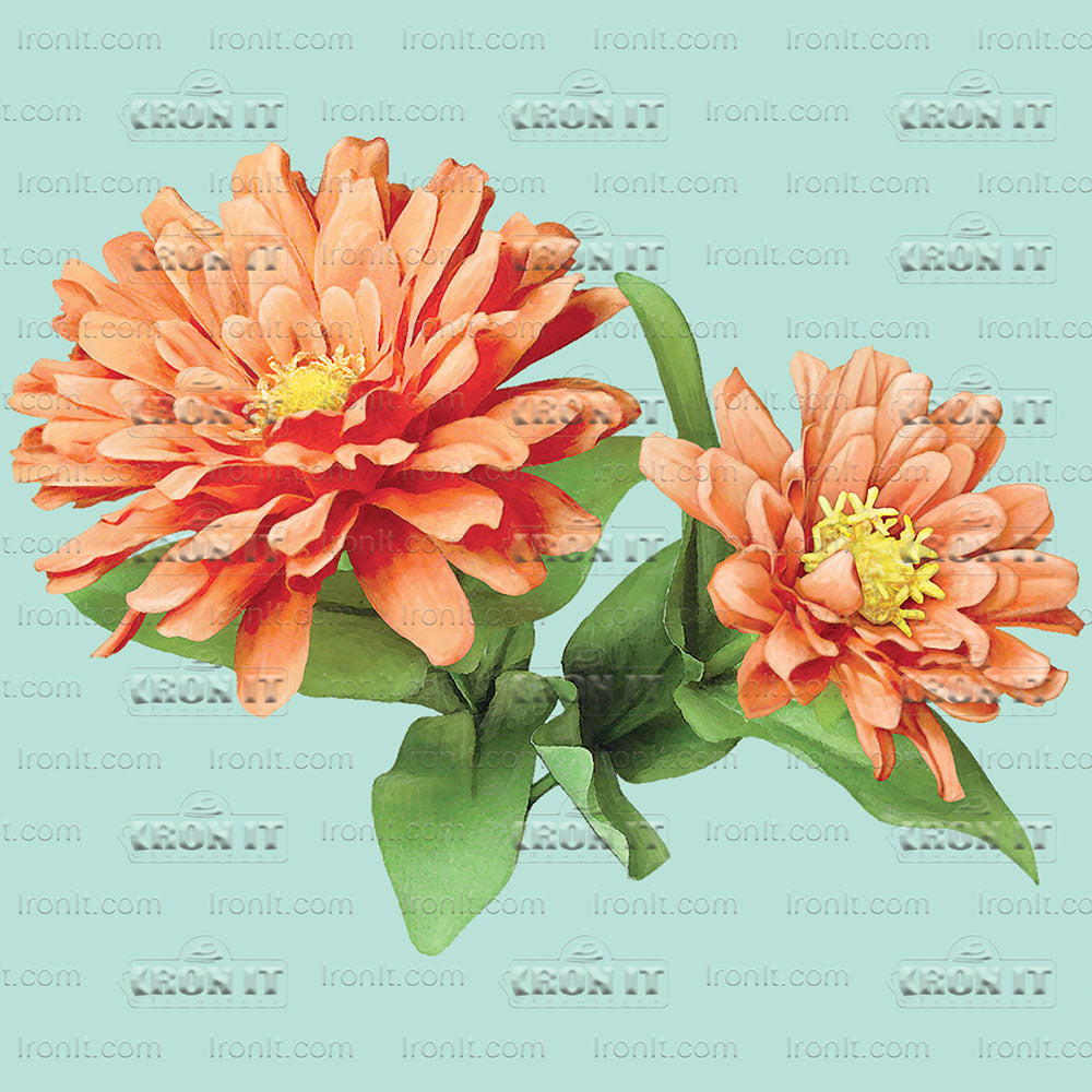 Zinnia | Country & Floral Direct-To-Film Transfer