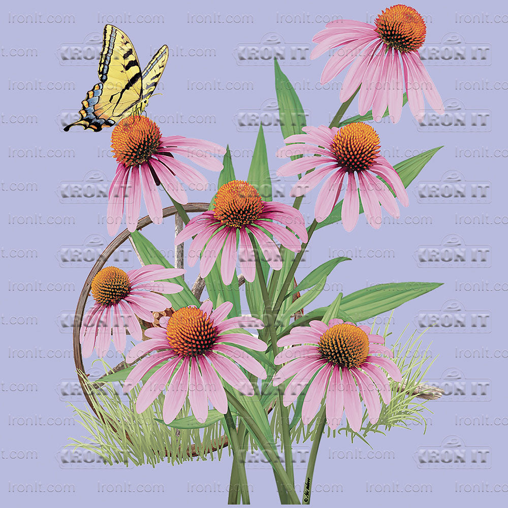 Pink Coneflowers | Country & Floral Direct-To-Film Transfer