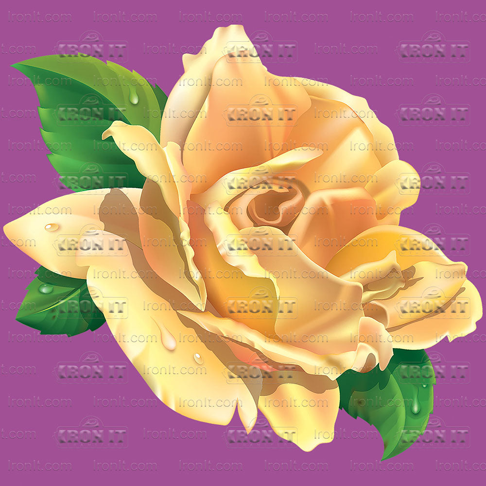 Yellow Rose | Country & Floral Direct-To-Film Transfer