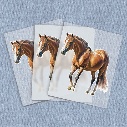 Standing Bay | Horses DTF Heat Transfers