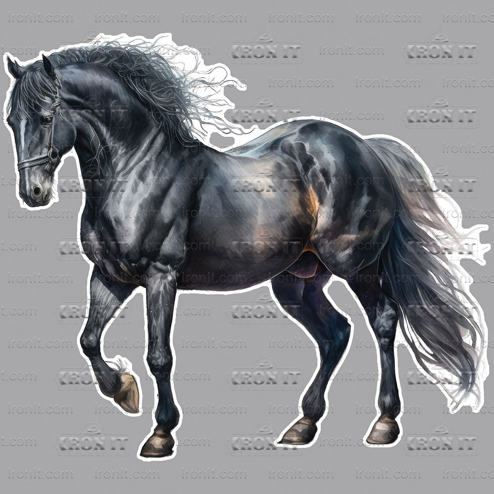 Standing Black Horse | Horses Direct to Film Heat Transfers