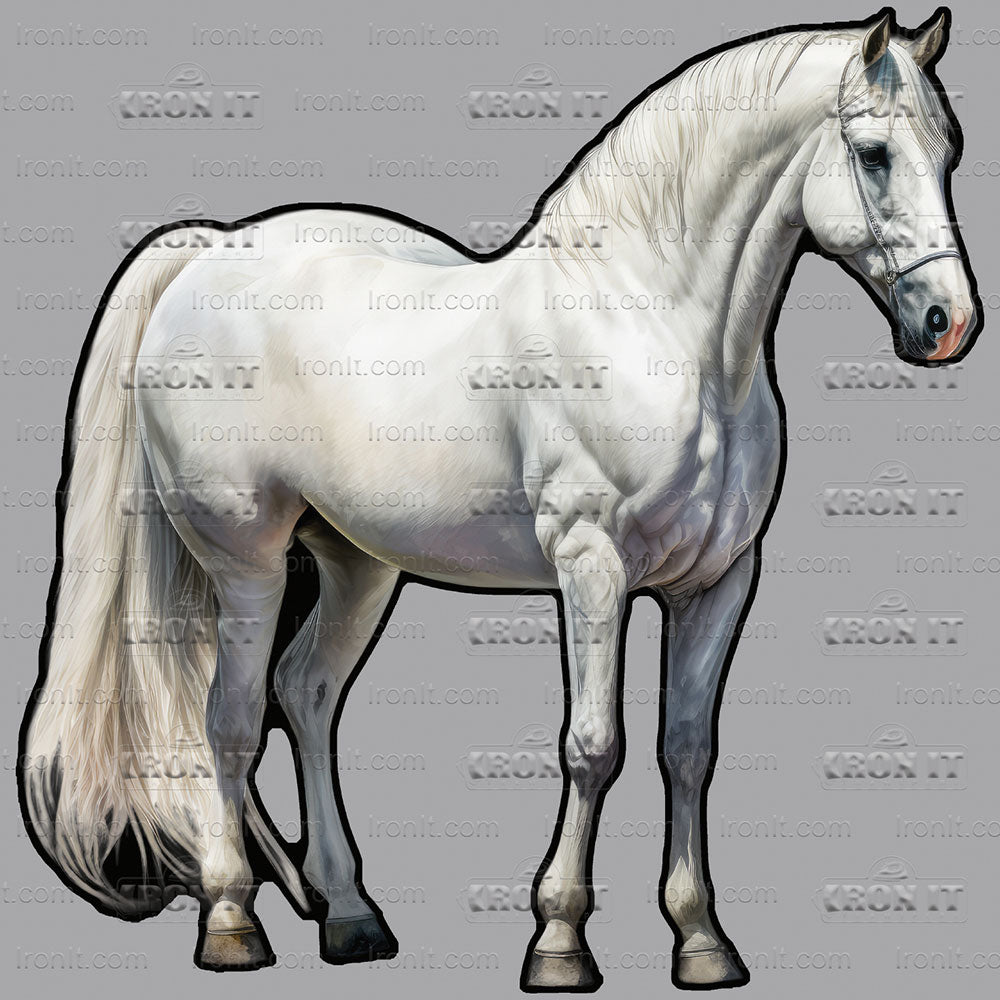 Standing White Horse | Horses Direct to Film Heat Transfers