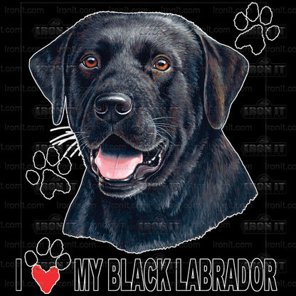 Black Lab | Dogs Direct to Film Heat Transfers
