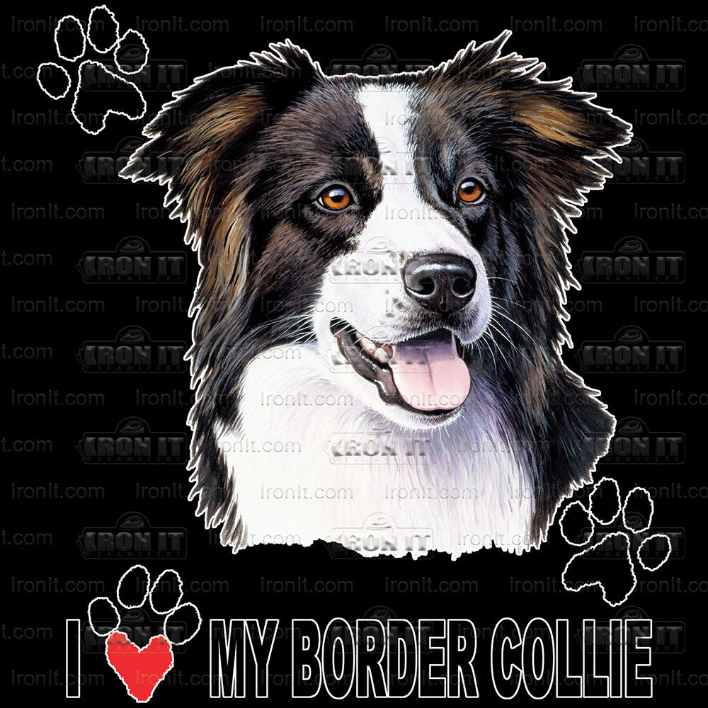 Border Collie | Dogs Direct to Film Heat Transfers