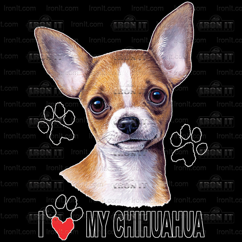 Chihuahua | Dogs Direct to Film Heat Transfers