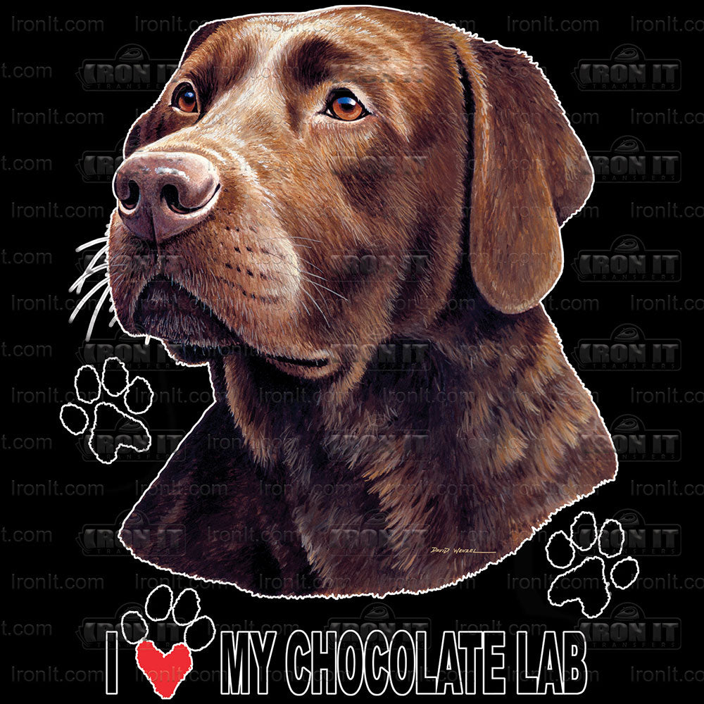 Chocolate Lab | Dogs Direct to Film Heat Transfers
