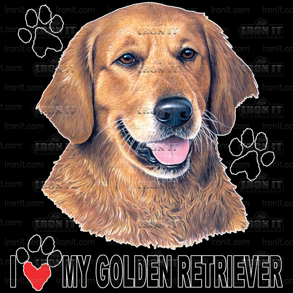 Golden Retriever | Dogs Direct to Film Heat Transfers