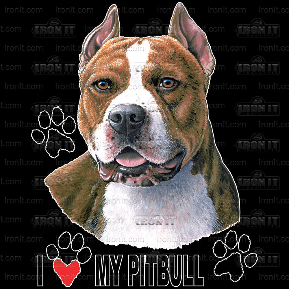 Pitbull | Dogs Direct to Film Heat Transfers