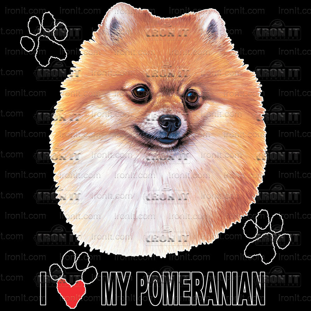 Pomeranian | Dogs Direct to Film Heat Transfers