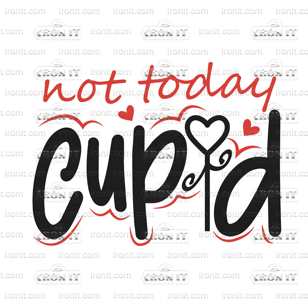 Not Today Cupid