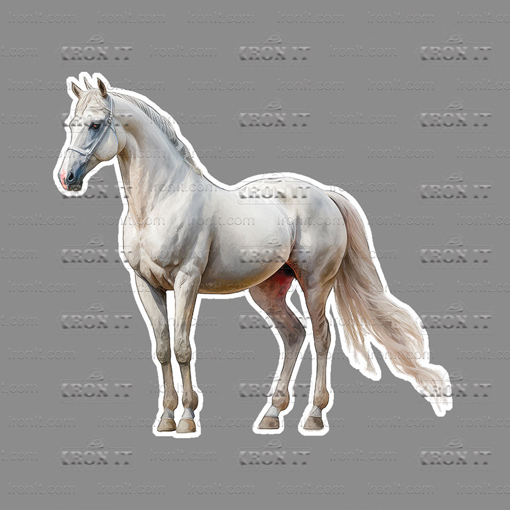 Standing White Horse