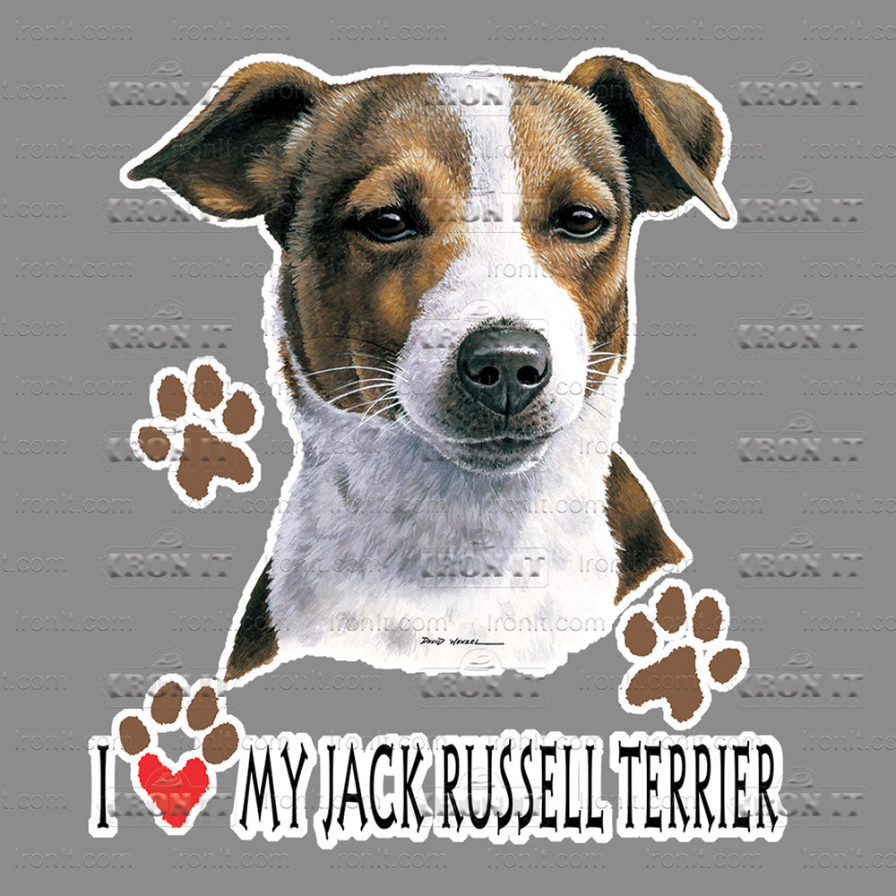 Jack Russel