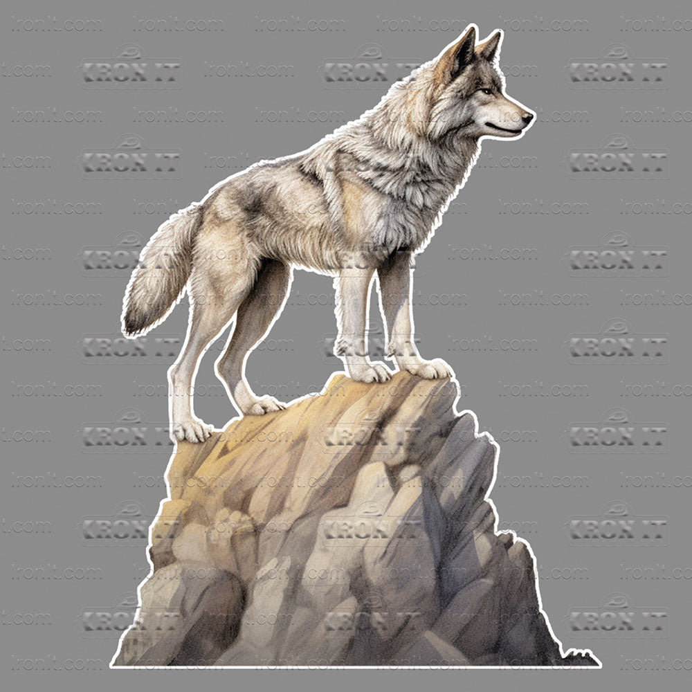 Wolf On A Rock