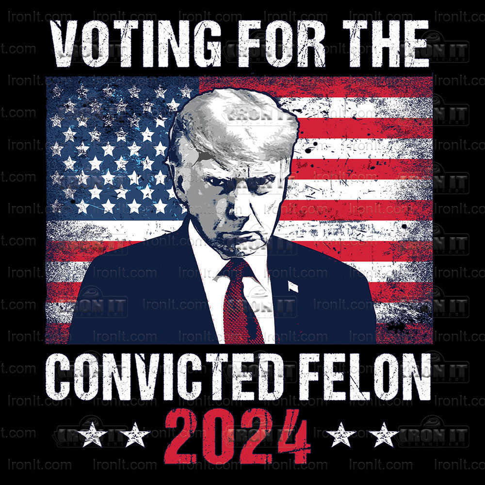 Voting For The Felon