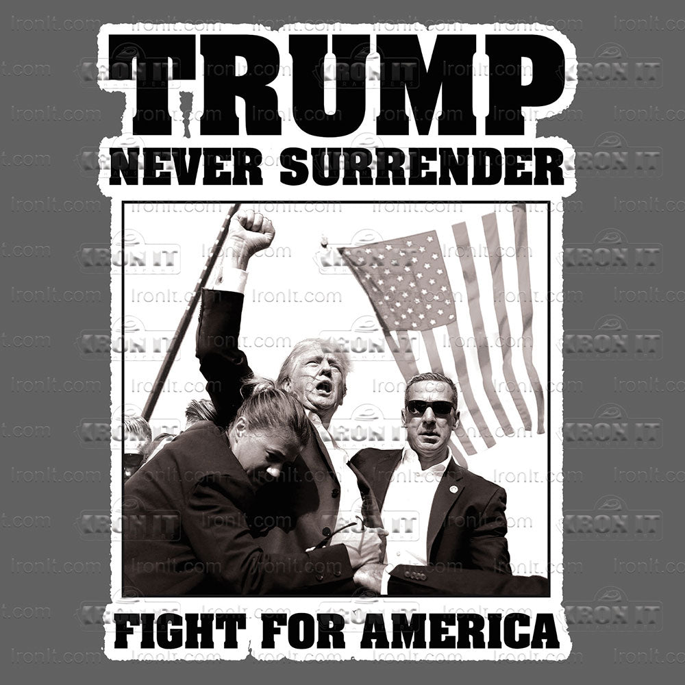 Never Surrender Fight