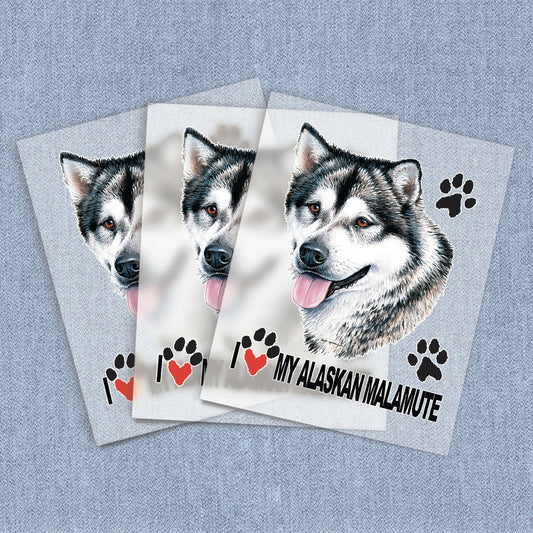 Alaskan Malamute