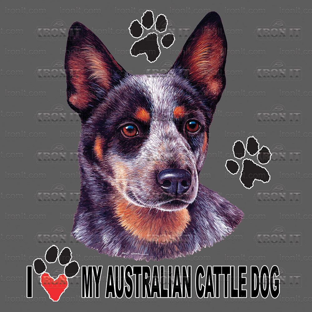 Australian Cattle Dog