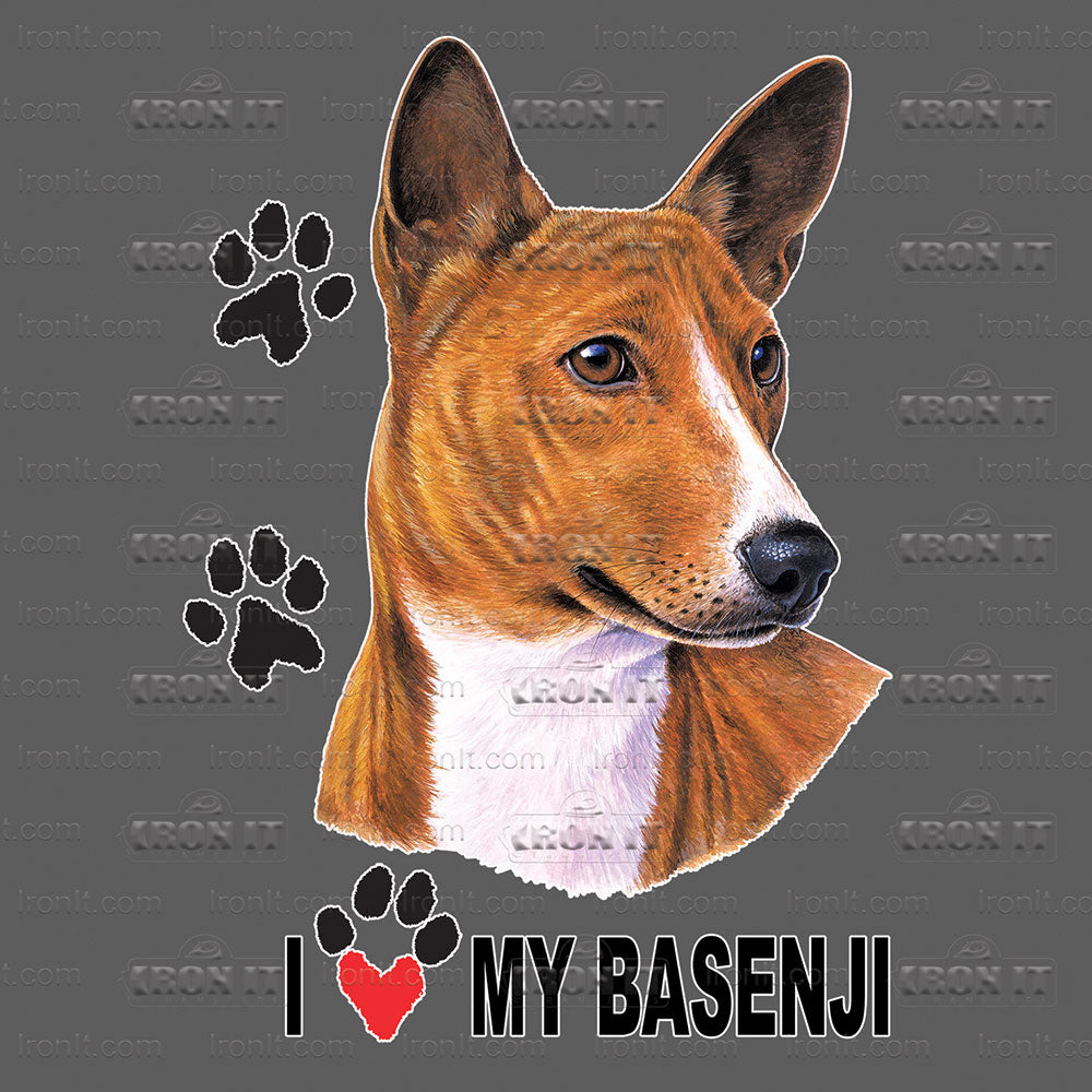 Basenji