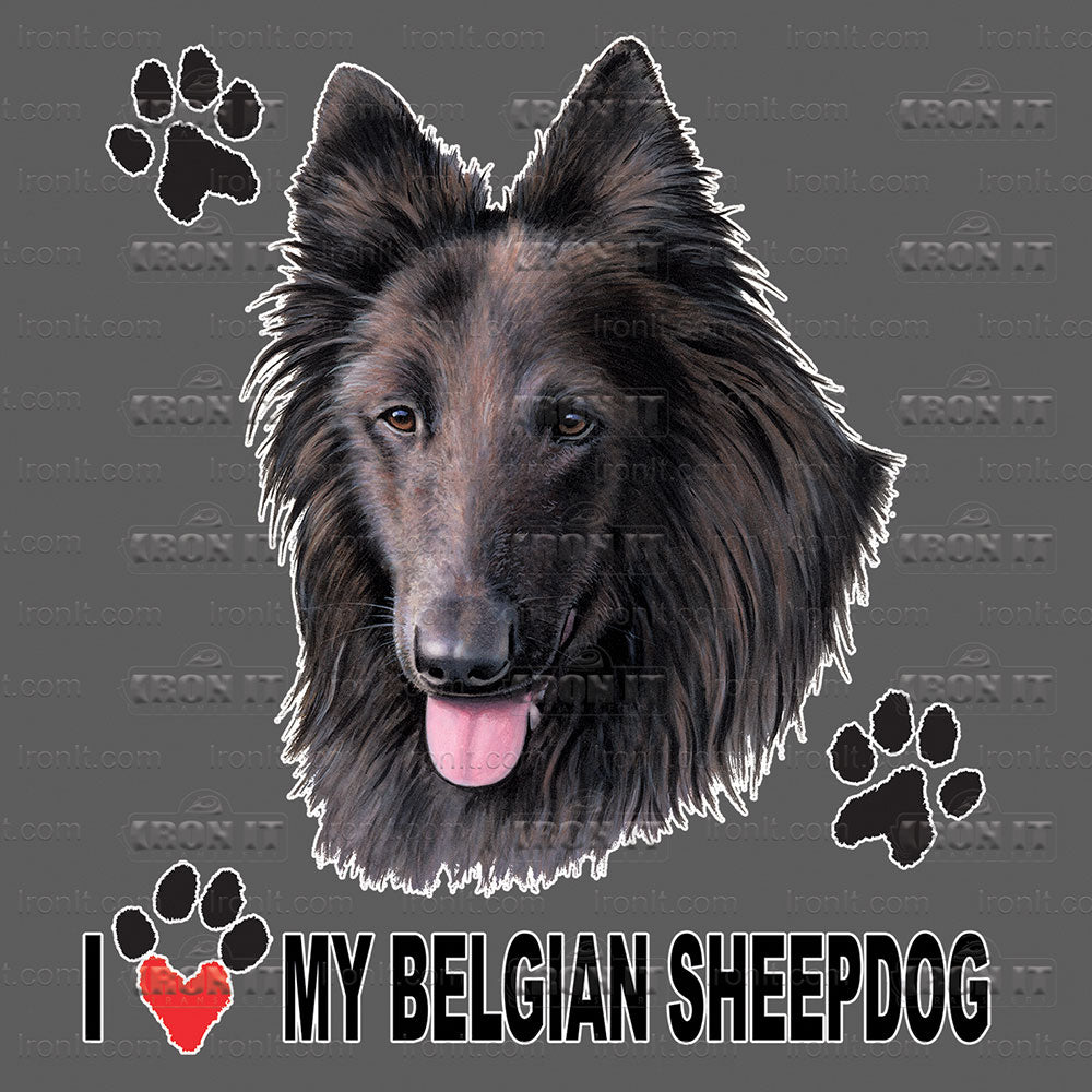 Belgian Sheepdog