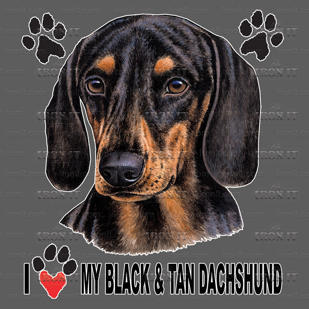 Dachshund (Black & Tan)