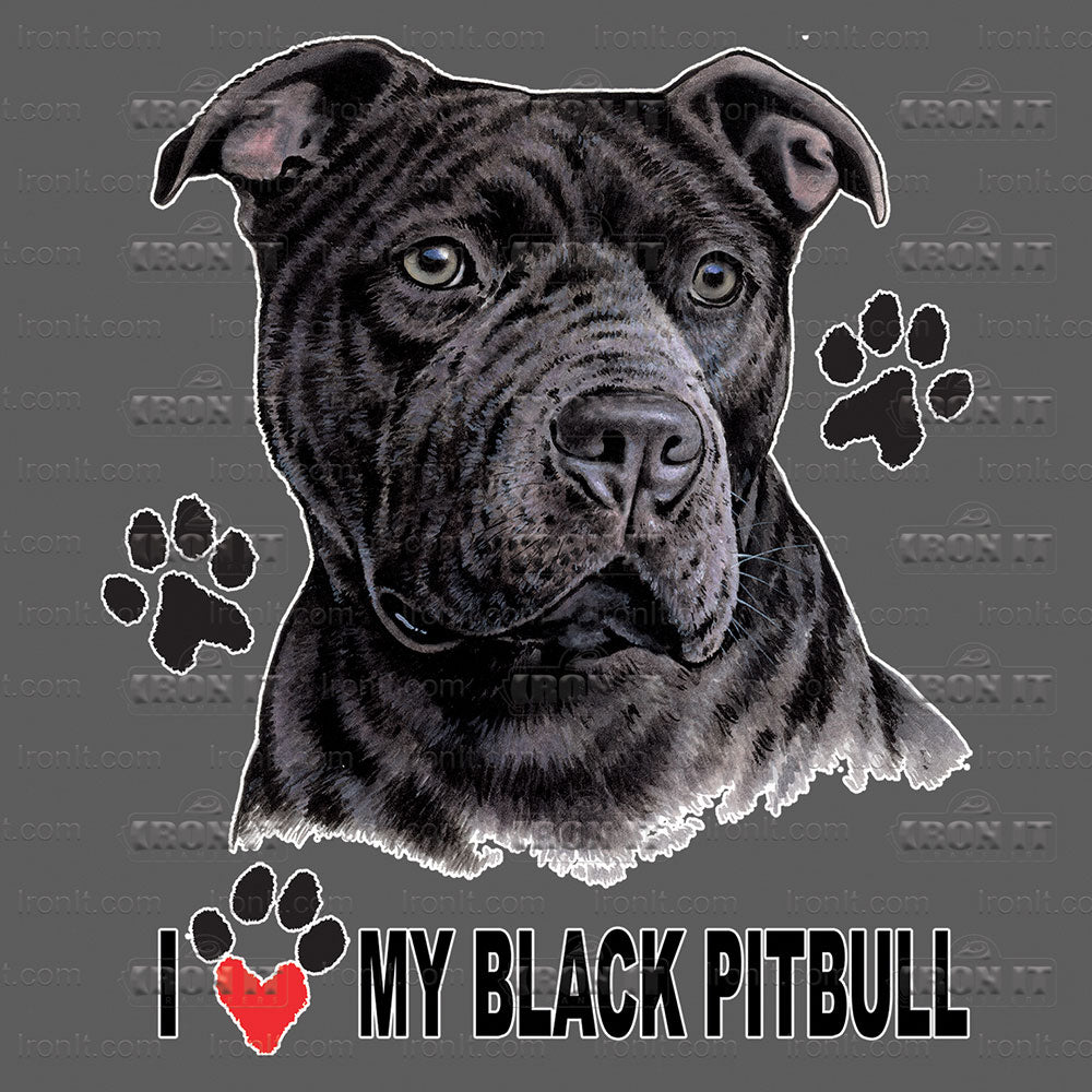 Black Pitbull
