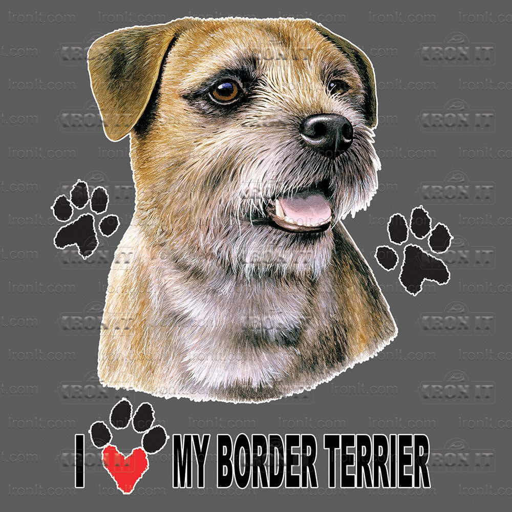Border Terrier