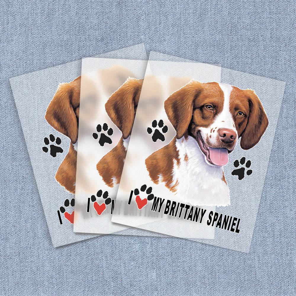 Brittany Spaniel