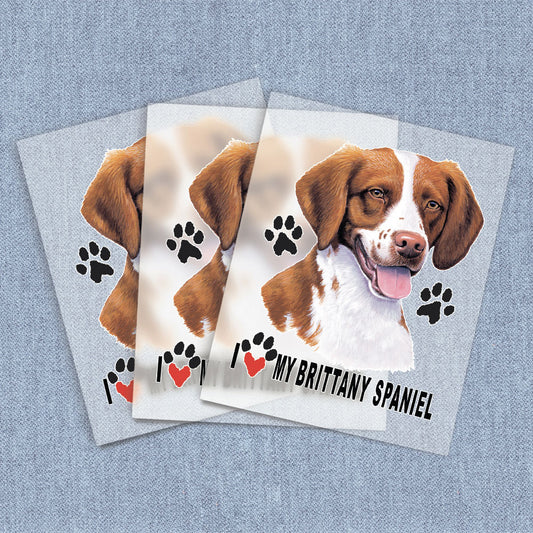 Brittany Spaniel