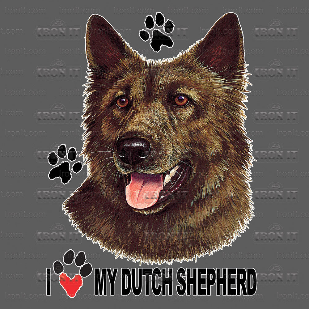 Dutch Shepherd