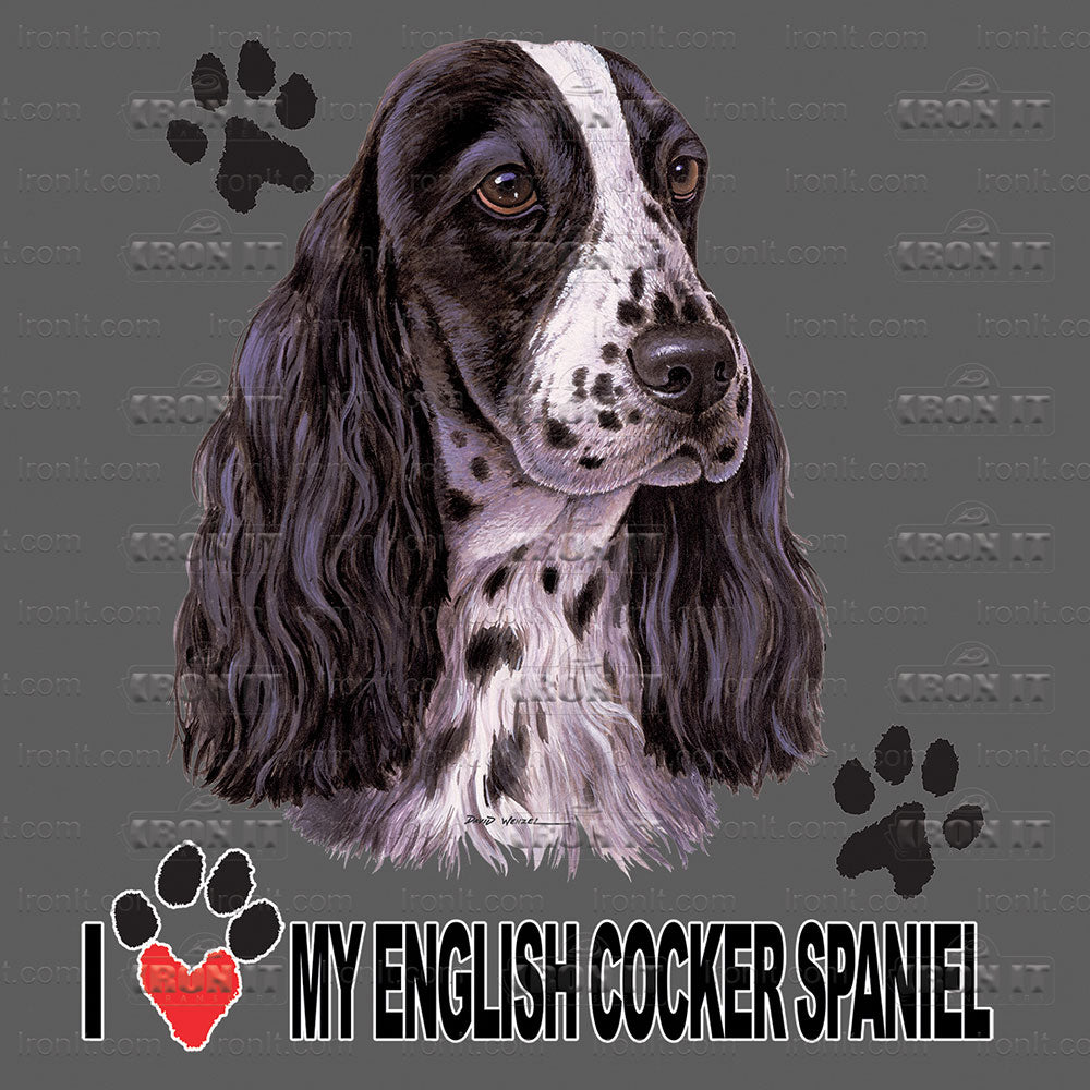 English Cocker Spaniel