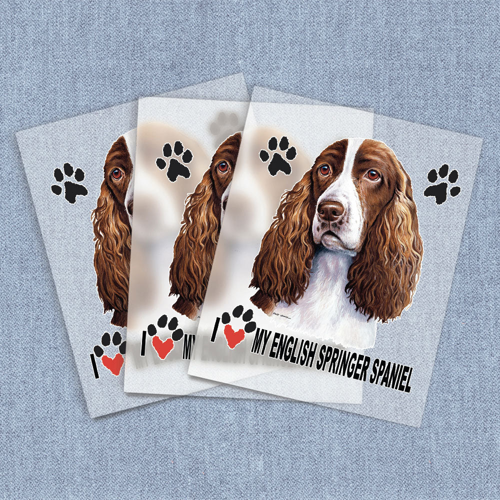 English Springer Spaniel