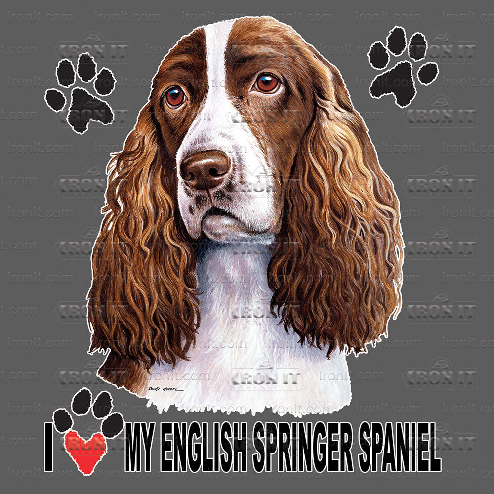 English Springer Spaniel