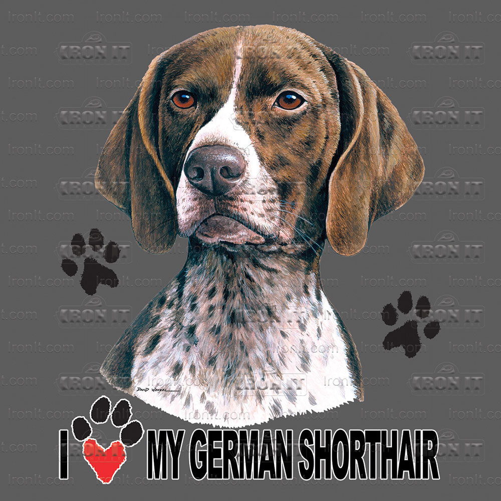 German Shorthair