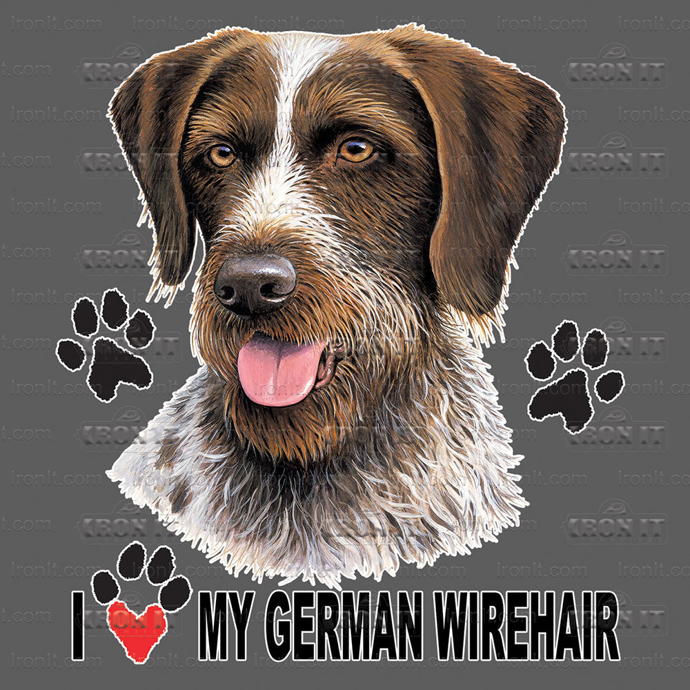German Wirehair