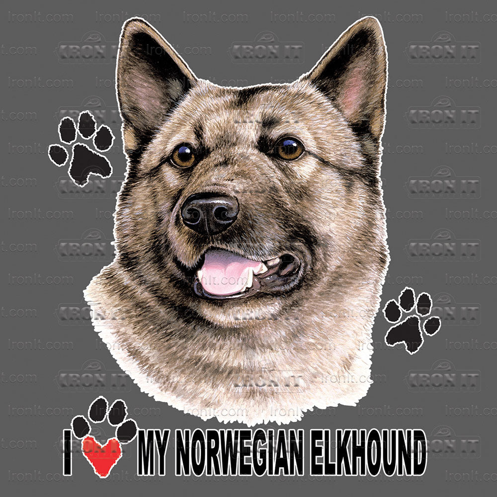 Norwegian Elkhound