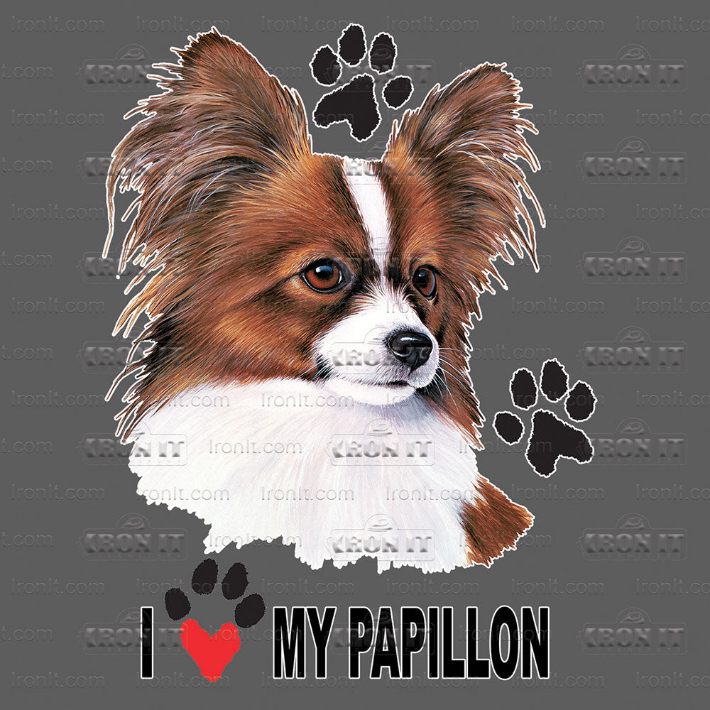 Papillon